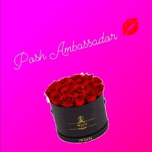 I’m a highly rated posh ambassador!